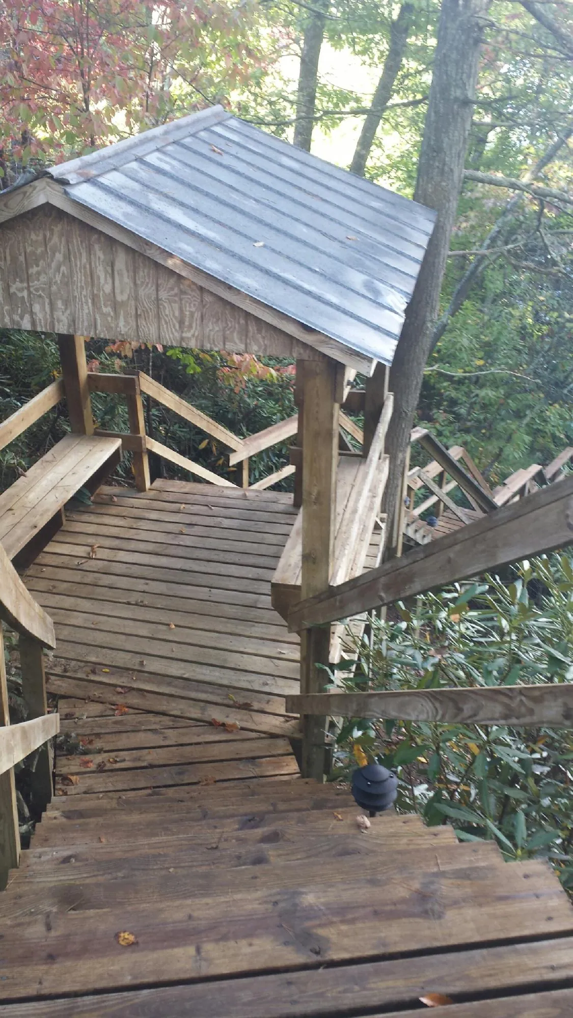 Metal roofed shelter over wooden steps on a wooded walkway — Skylight Repair & Installation work by our crew in Ridgway