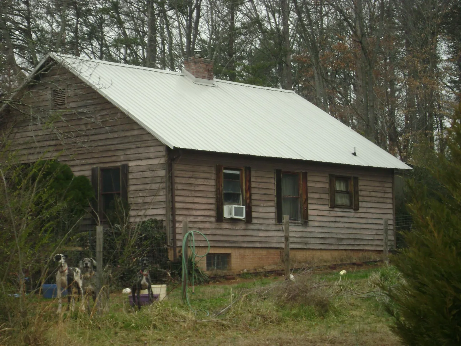 White metal roof on an old wood sided farmhouse, from a Asphalt Shingle Roof Repair job in Ridgway
